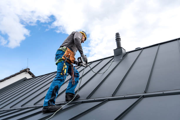 Best Roof Moss and Algae Removal  in Marshallton, PA